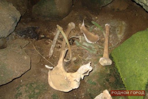 Девять мешков с останками солдат ВОВ обнаружили дети под Волгоградом