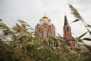 Волгоградцам рекомендуют не надевать чужое и не поднимать вещи с земли 20 октября