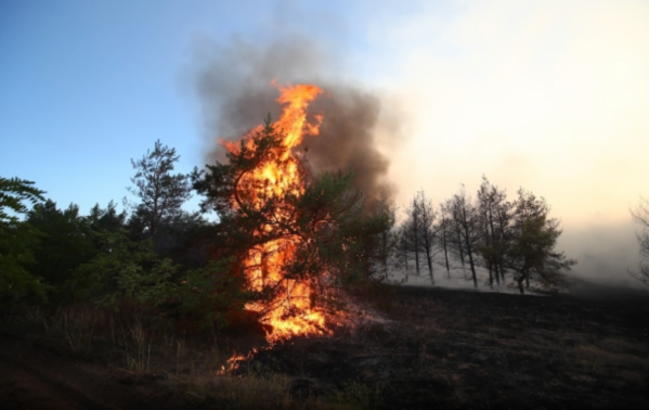В Волгоградской области сняли особый противопожарный режим