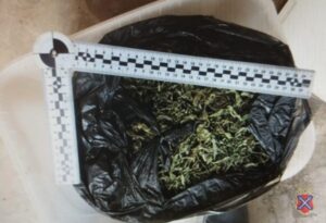 Под Волгоградом задержали мужчину с крупной партией наркотиков