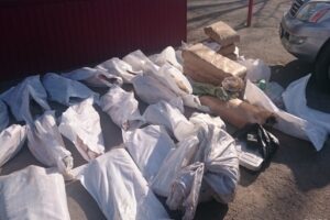 500 кг осетровых изъяли полицейские на юге Волгограда