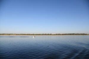 В окрестностях Камышина проходят съемки фильма о Волге