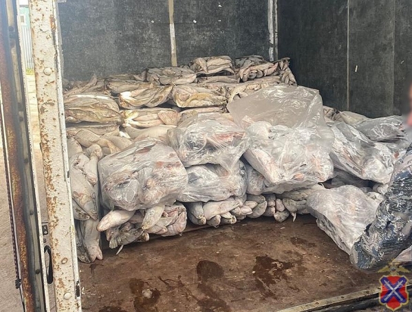 Полиция задержала волгоградца, подозреваемого в незаконном сбыте 4 тонн рыбы