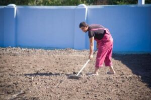 В Волгограде стадион «Пищевик» откроют в конце сентября