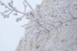 Метель, гололед и мороз -23 обещают 18 января в Волгоградской области