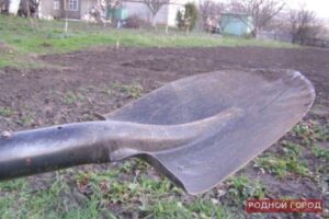 Волгоградец из-за долга проломил голову знакомого лопатой