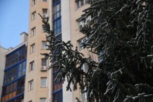 Волгоградцев ожидает сильный ветер со снегом