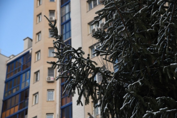 Волгоградцев ожидает сильный ветер со снегом