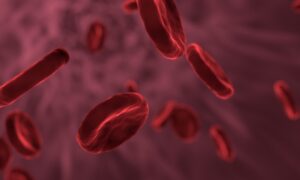 Российские ученые нашли способ легко рассасывать тромбы