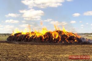Под Волгоградом 16-летний мальчик пострадал, спасая от огня сено