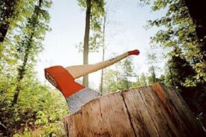 В Урюпинском районе задержали срубившего 25 сосен мужчину