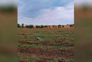 Телеграм-каналы назвали имена погибших под Волгоградом пилотов Су-24