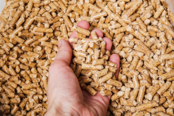 В Волгоград прибыли крупные партии шрота