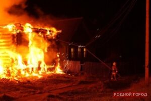 Под Волгоградом на пожаре пострадали бабушка и 9-летний внук