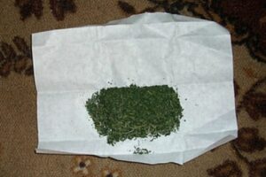 Полицейские нашли у волгоградца 161 грамм марихуаны