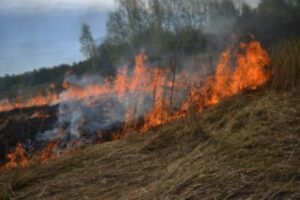 В Серафимовичском районе горит 15 гектаров сухой растительности