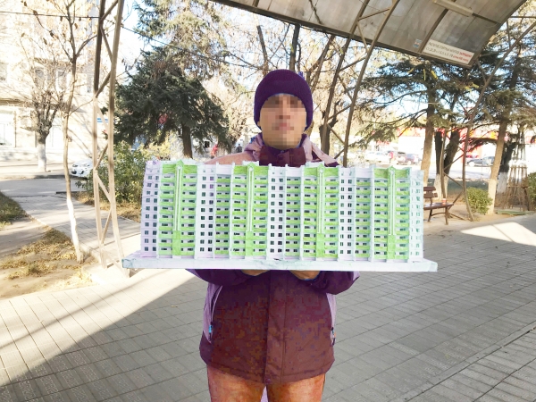 Волгоградец заводит друзей с помощью макетов домов