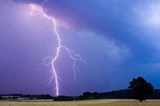 Под Волгоградом 60-летнего пастуха убило молнией