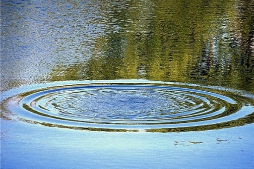 В Палласовке обнаружено тело утопленницы