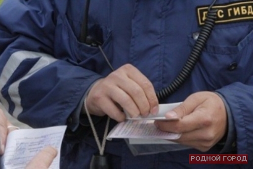 Волжанин понесёт наказание за оскорбление сотрудника ДПС