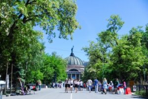 В Волгограде вырос спрос на услуги строителей