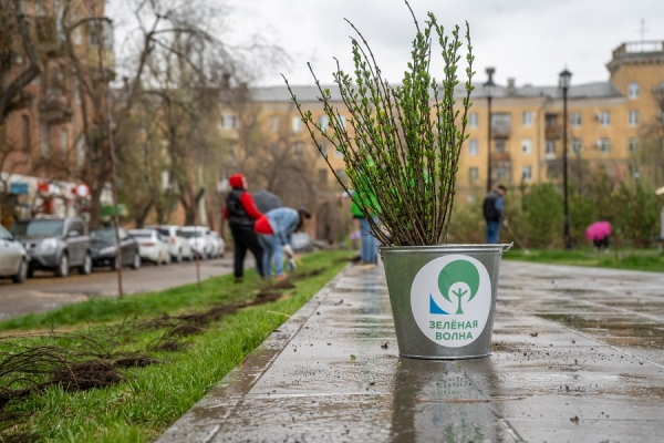 Работники РУСАЛа высадили 250 кустарников у ДК на севере Волгограда