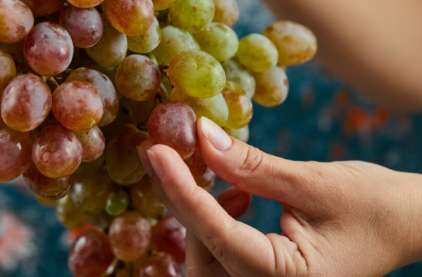 Дачникам из Волгоградской области перечислили зимостойкие сорта винограда