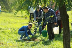 В Волгограде сотрудники больницы № 5 высадили березовую аллею