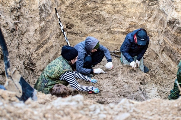 В Волгоградской области подняли останки 85 бойцов
