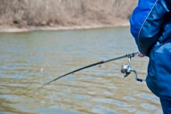 Два жителя Волгоградской области получили условный срок за незаконный лов рыбы