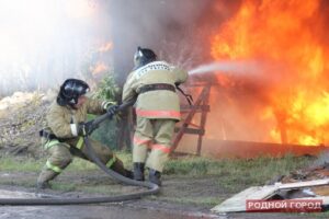 6-летний ребёнок под Волгоградом сжёг 10 тонн сена и 3 тонны зерна