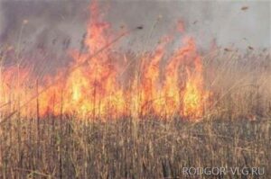 Центр Волгограда окутал смог из-за горящего камыша