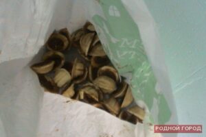 Под Волгоградом в колонию наркотики передали под видом пирожных