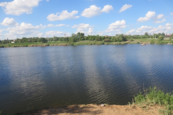 На западе Волгограда появится новый экопарк