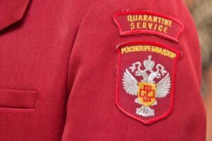 В Волгограде снизилось число людей, зависимых от алкоголя