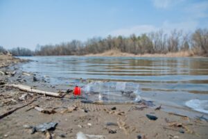 16 ноября волгоградцев приглашают на субботник в природный парк