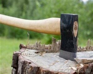 Волгоградцу грозит 3 года тюрьмы за 3 срубленных дуба