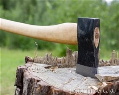 Волгоградцу грозит 3 года тюрьмы за 3 срубленных дуба