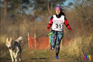 В Волгограде прошёл турнир по ездовому спорту «Шёлковый путь – 2016»