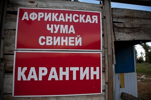 Черный пиар  во время чумы?