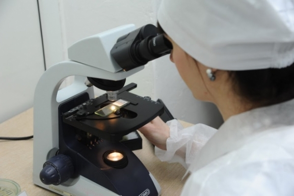 Заболеваемость ОРВИ в Волгоградской области не превышает эпидпорог