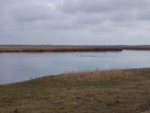 В Волгоградской области завершается расчистка реки Ямы