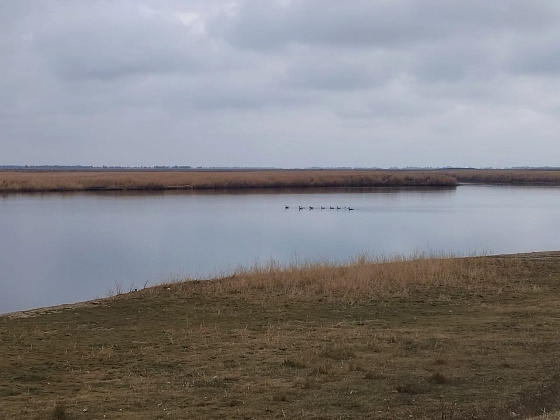 В Волгоградской области завершается расчистка реки Ямы