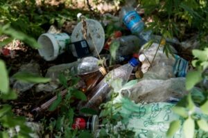 Наложили так наложили: чем на самом деле полны городские канализации