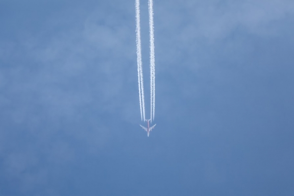 «Аэрофлот» опроверг информацию об отмене рейсов из Волгограда в Москву