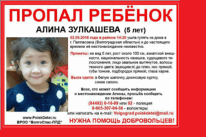 Добровольцы ищут исчезнувшую девочку из Палласовки