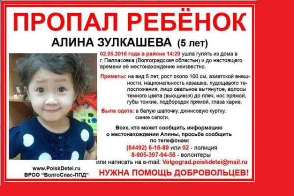 Добровольцы ищут исчезнувшую девочку из Палласовки
