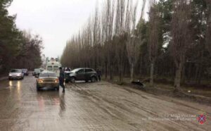 В Михайловке автоледи на SsangYoung влетела в дерево: подросток и женщина в больнице