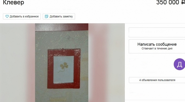 Волгоградец продает счастливый четырехлистник за 350 тысяч рублей