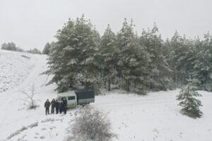 В лесах Волгоградской области проводят рейды